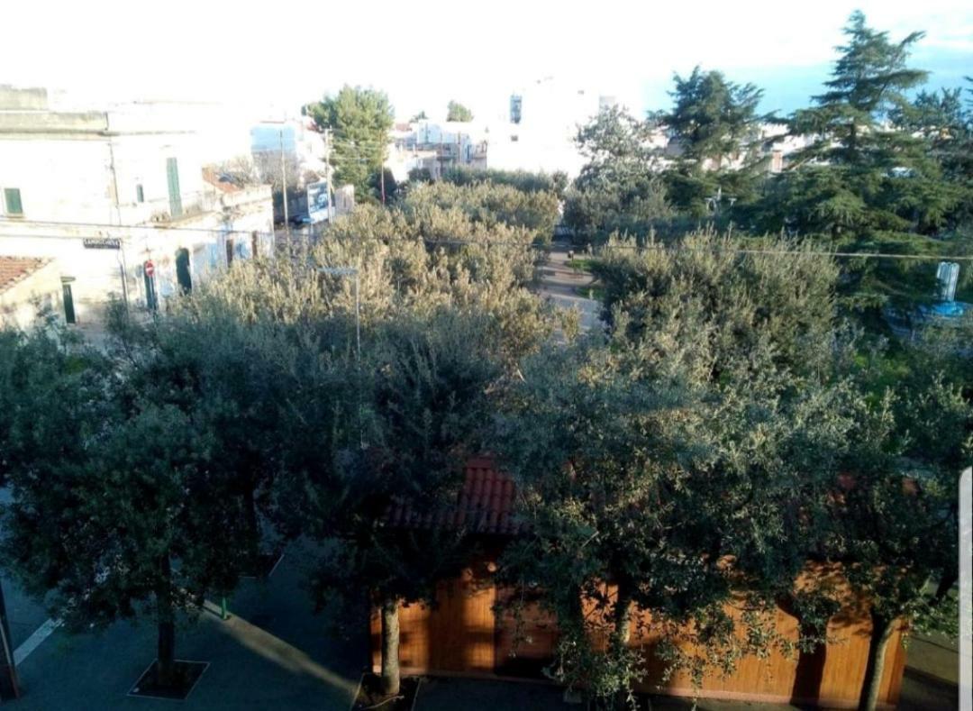 La casa di Mariagrazia rooms con cucina condivisa e terrazza Sammichele Di Bari Esterno foto